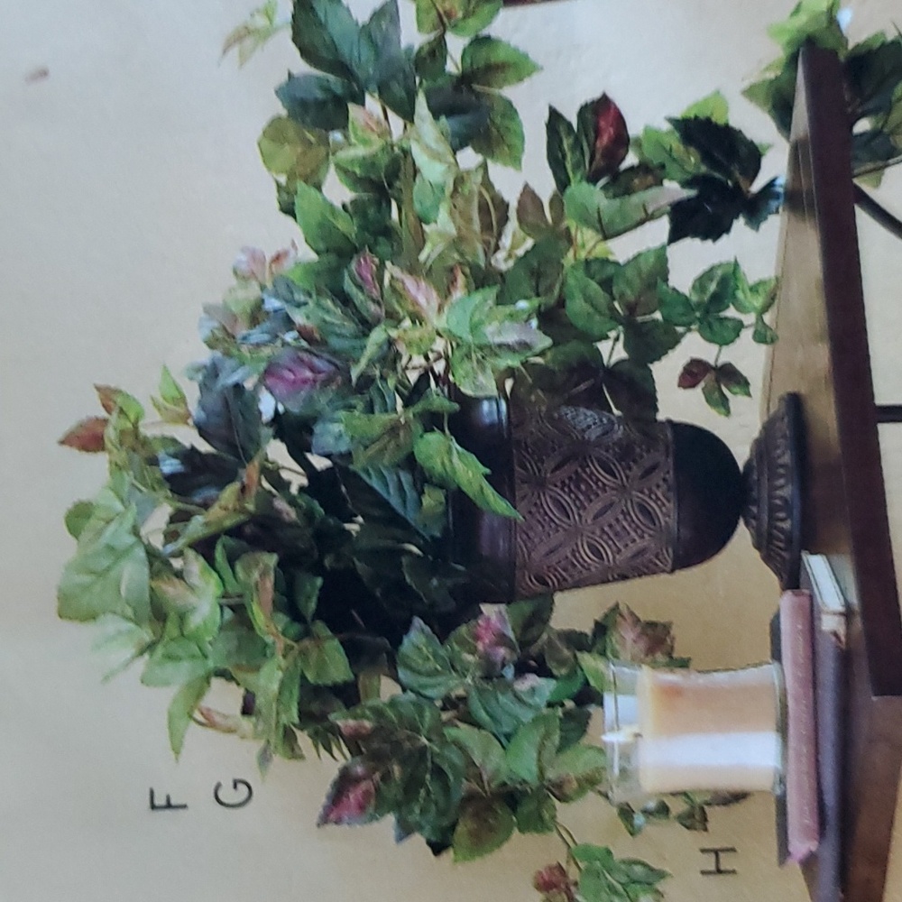 All Season Grape Ivy bush NEW goes w/everything Home Interiors